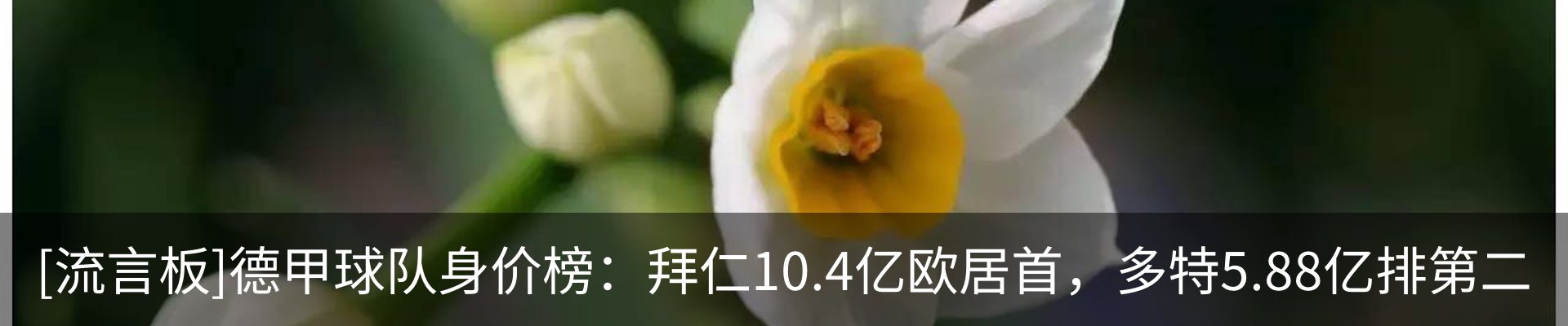 热点资讯